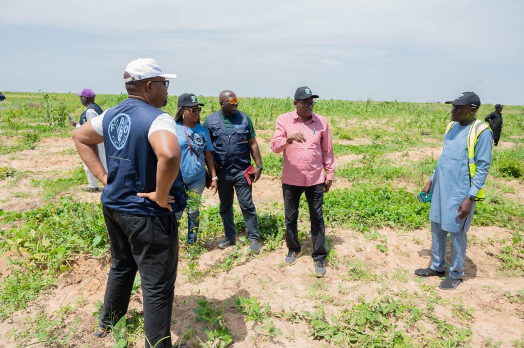 FAO high level team is making strides in climate smart land restoration in Borno State.